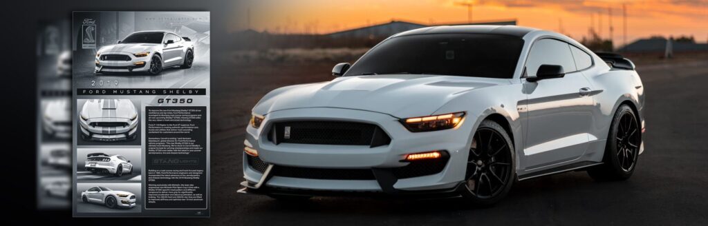 showroom banner divider